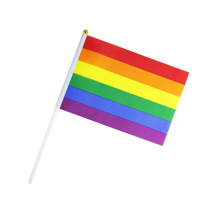 דגל גאווה על מקל