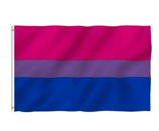 דגל גאווה | ביסקסואלים